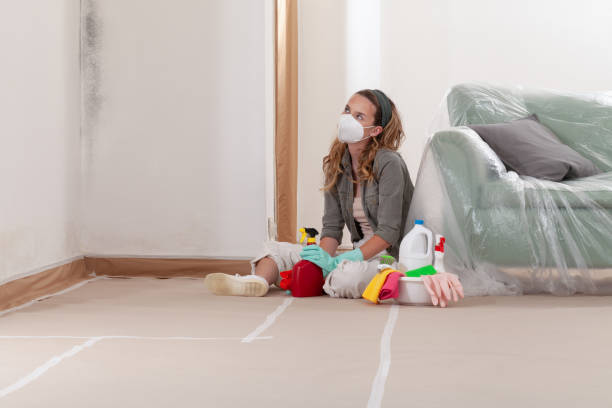Reliable Mold Testing contractor in Union City, GA by WQB Mold Removal