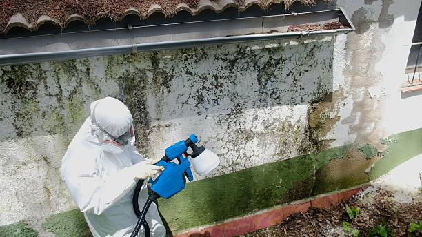 Top rated local Mold Testing specialists in Union City, GA